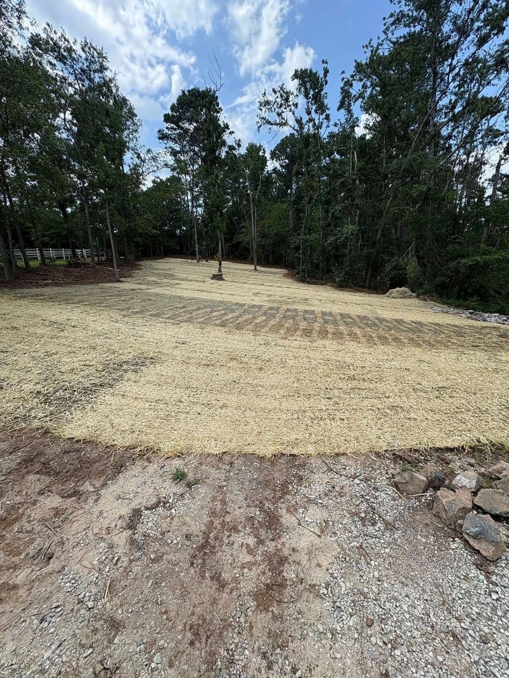 Cleared land with straw covering, surrounded by trees and blue sky. Ideal for construction or landscaping.